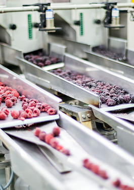 food manufacturing